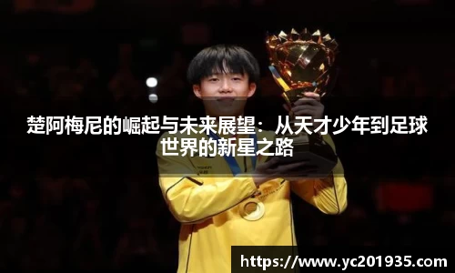 星空综合官网