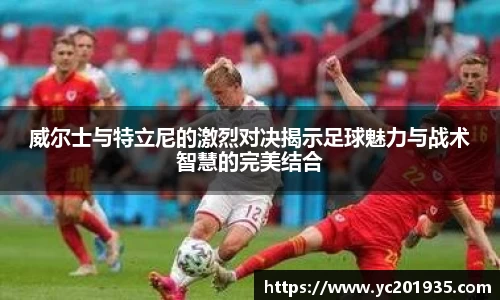 星空综合官网